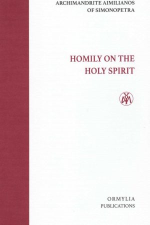 HOMILY ON THE HOLY SPIRIT
